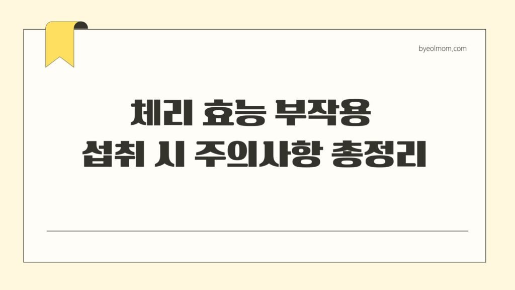 체리 효능, 부작용, 섭취 시 주의사항 총정리