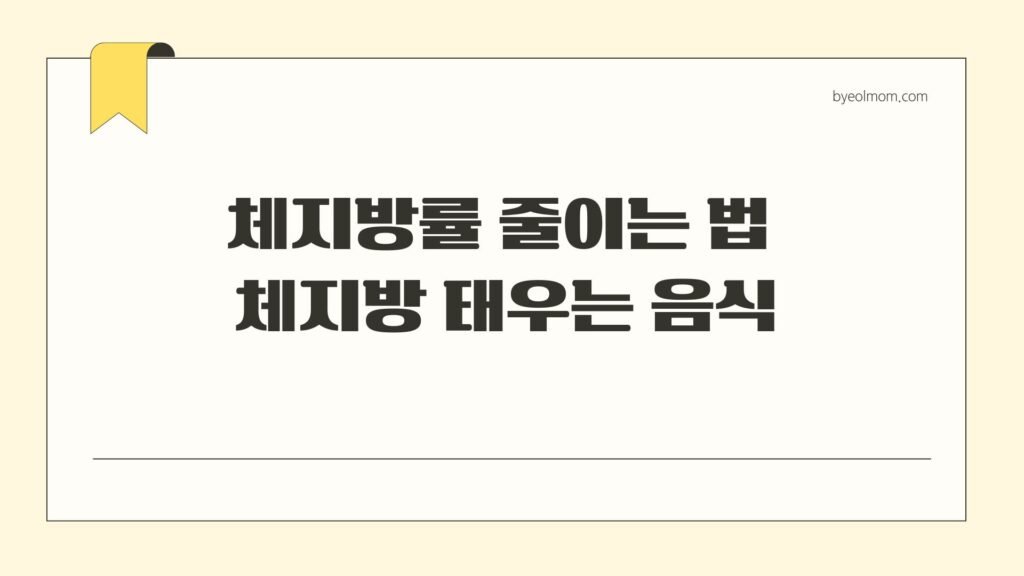 체지방률 줄이는 법 체지방 태우는 음식