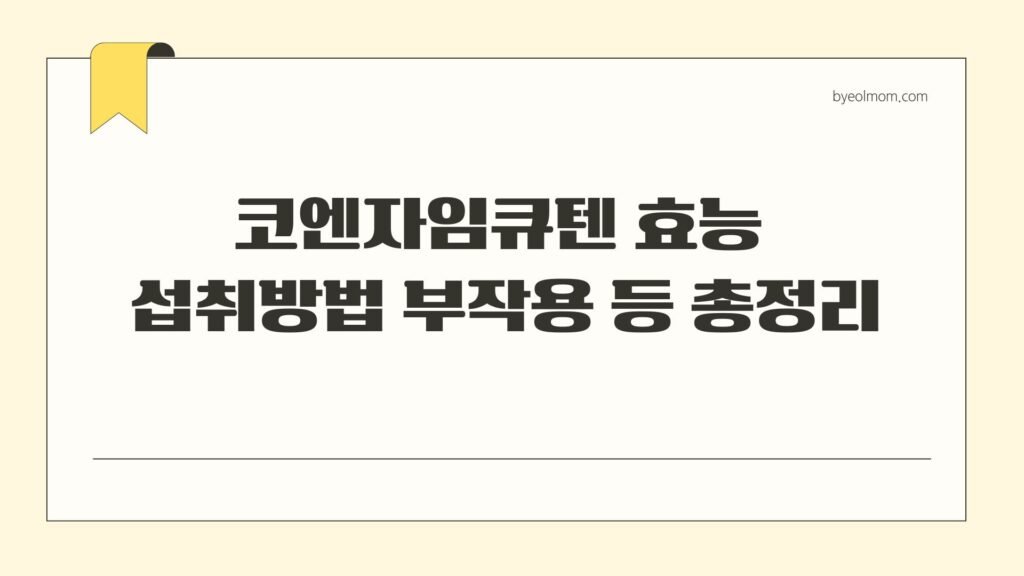코엔자임큐텐 효능