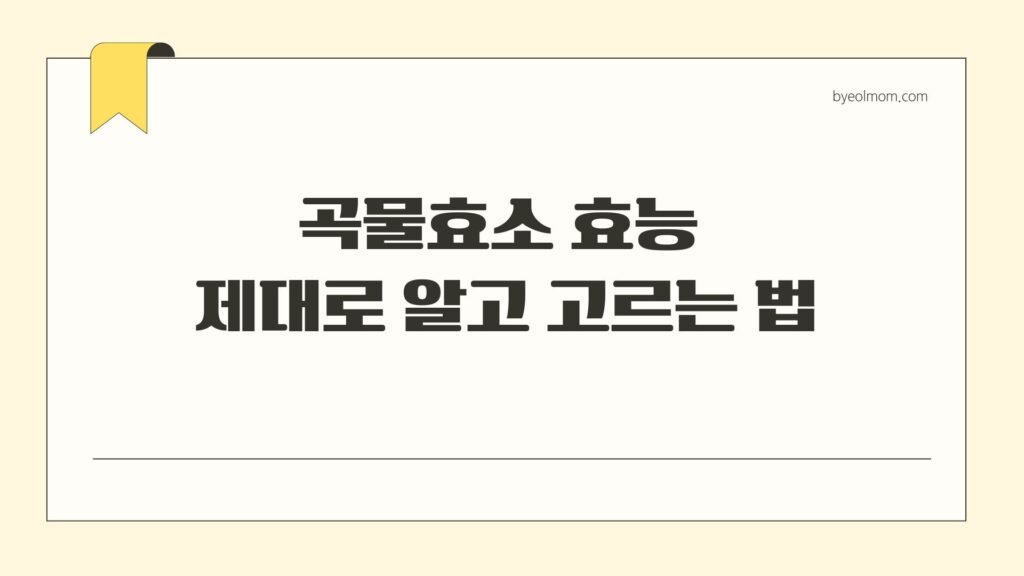 곡물효소 효능 제대로 알고 고르는 법