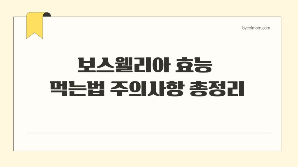 보스웰리아 효능 먹는법 주의사항 총정리