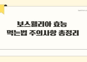 보스웰리아 효능 먹는법 주의사항 총정리