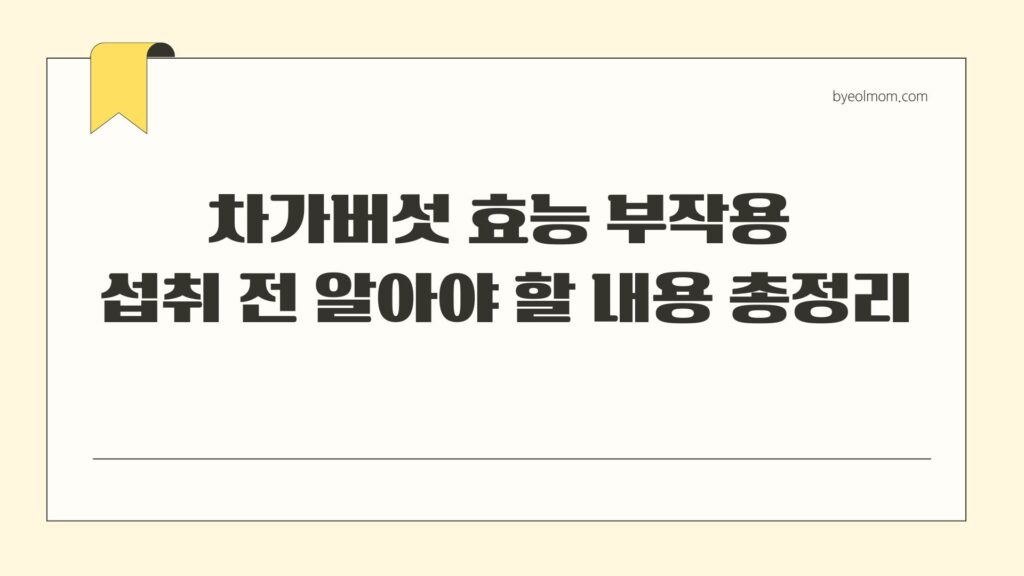 차가버섯 효능 부작용 섭취 전 알아야 할 내용 총정리