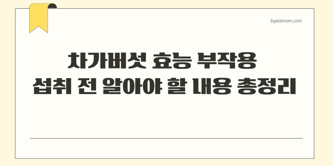 차가버섯 효능 부작용 섭취 전 알아야 할 내용 총정리