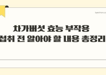 차가버섯 효능 부작용 섭취 전 알아야 할 내용 총정리