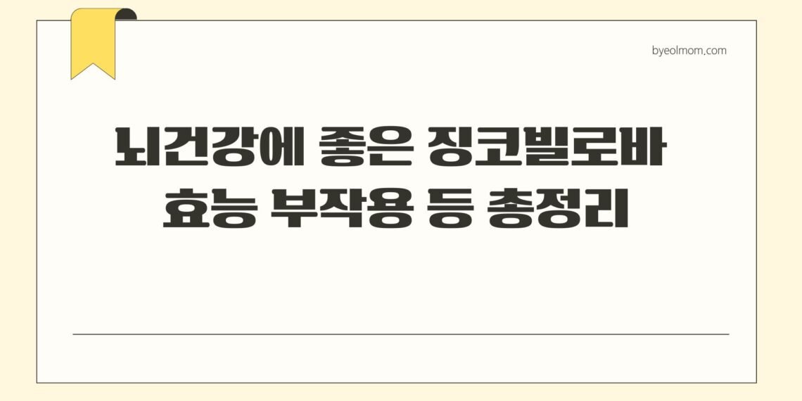 뇌건강에 좋은 징코빌로바 효능 부작용 등 총정리