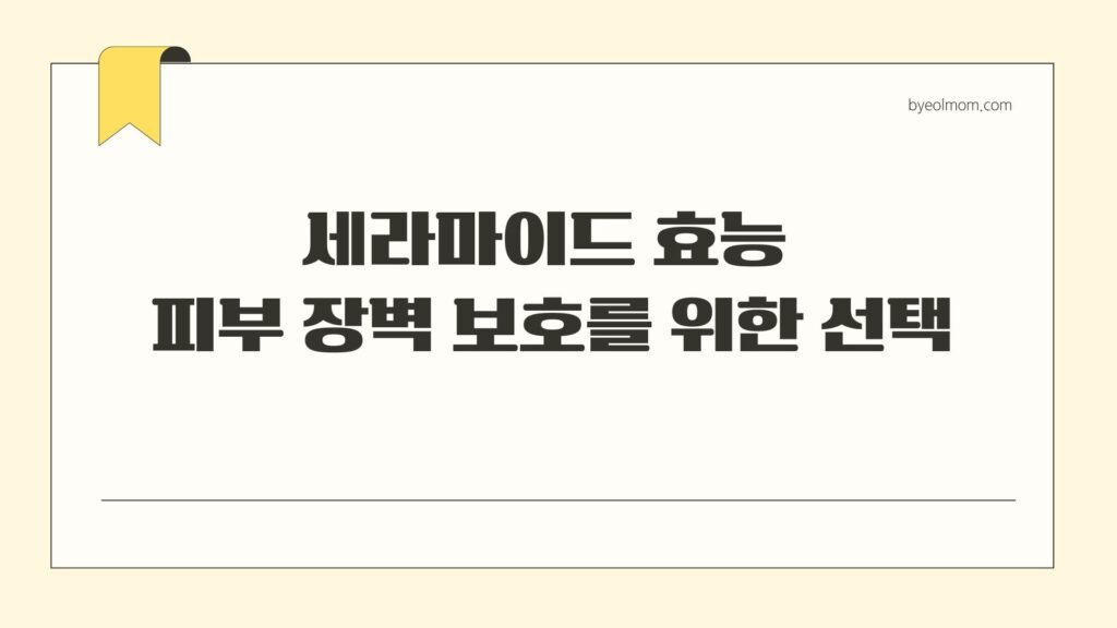 세라마이드 효능 피부 장벽 보호를 위한 선택