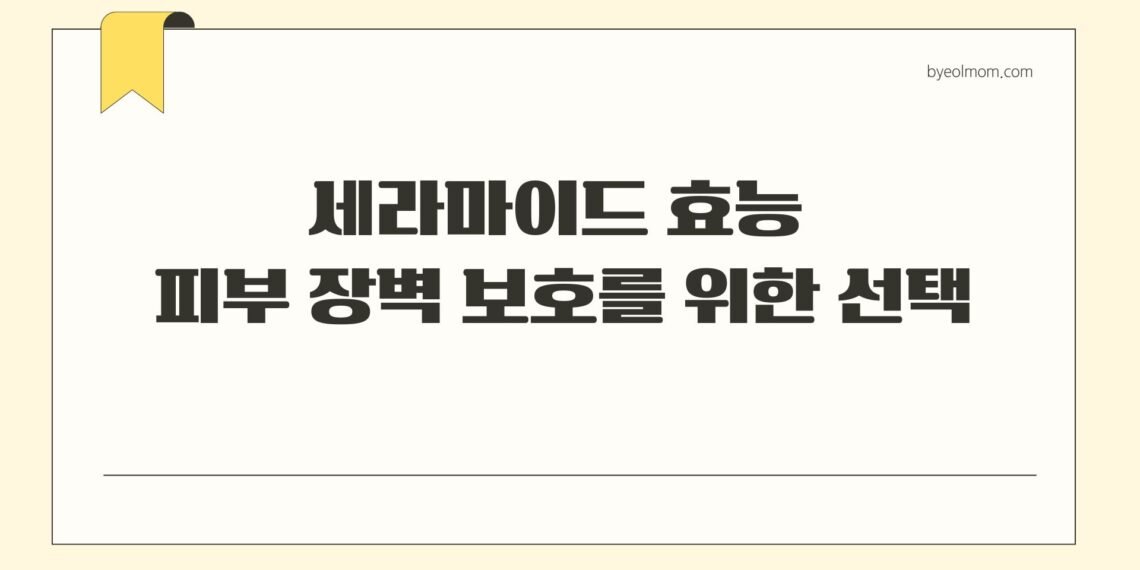 세라마이드 효능 피부 장벽 보호를 위한 선택