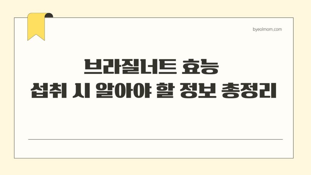 브라질너트 효능 섭취 시 알아야 할 정보 총정리