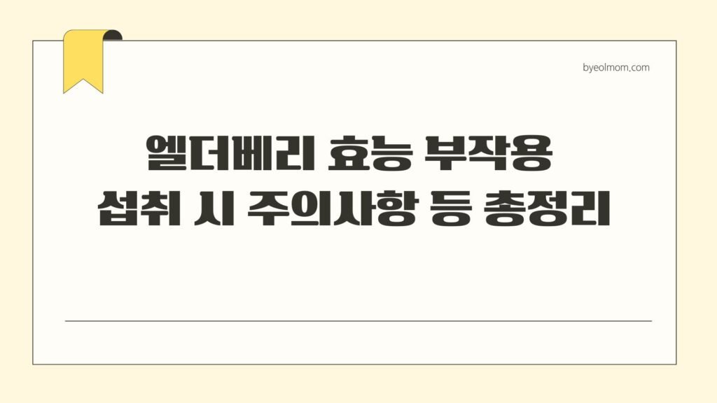 엘더베리 효능 부작용 섭취 시 주의사항 등 총정리