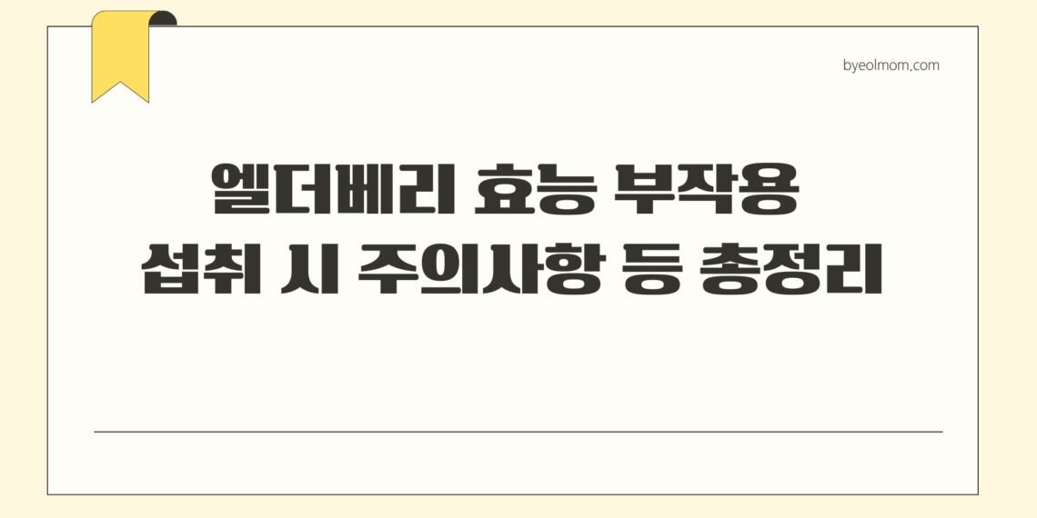 엘더베리 효능 부작용 섭취 시 주의사항 등 총정리