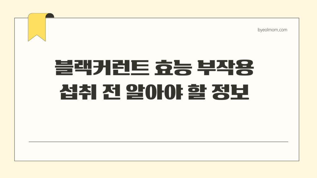 블랙커런트 효능 부작용 섭취 전 알아야 할 정보
