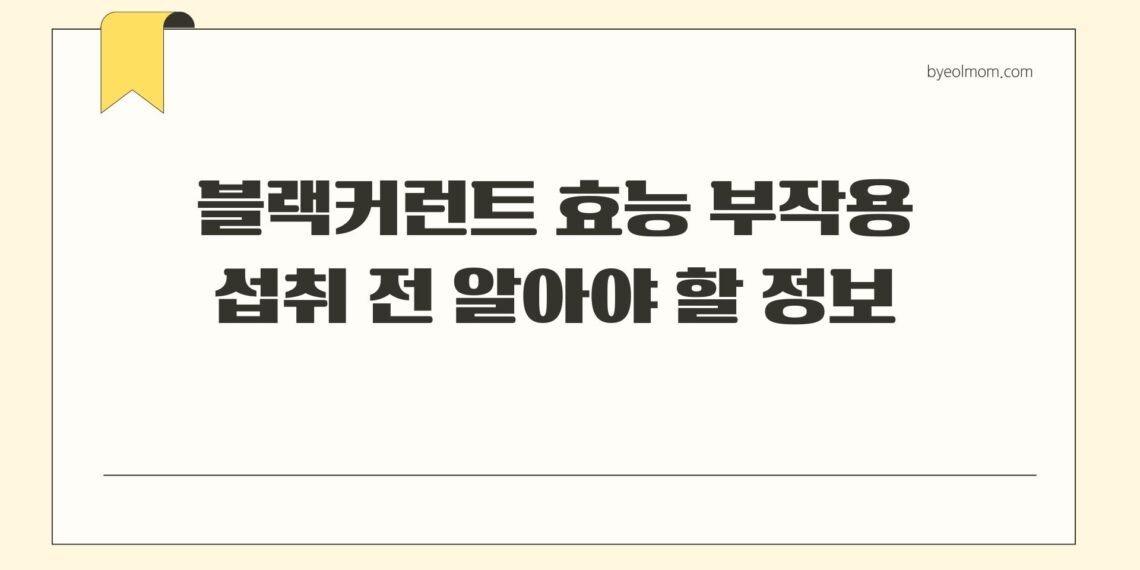 블랙커런트 효능 부작용 섭취 전 알아야 할 정보