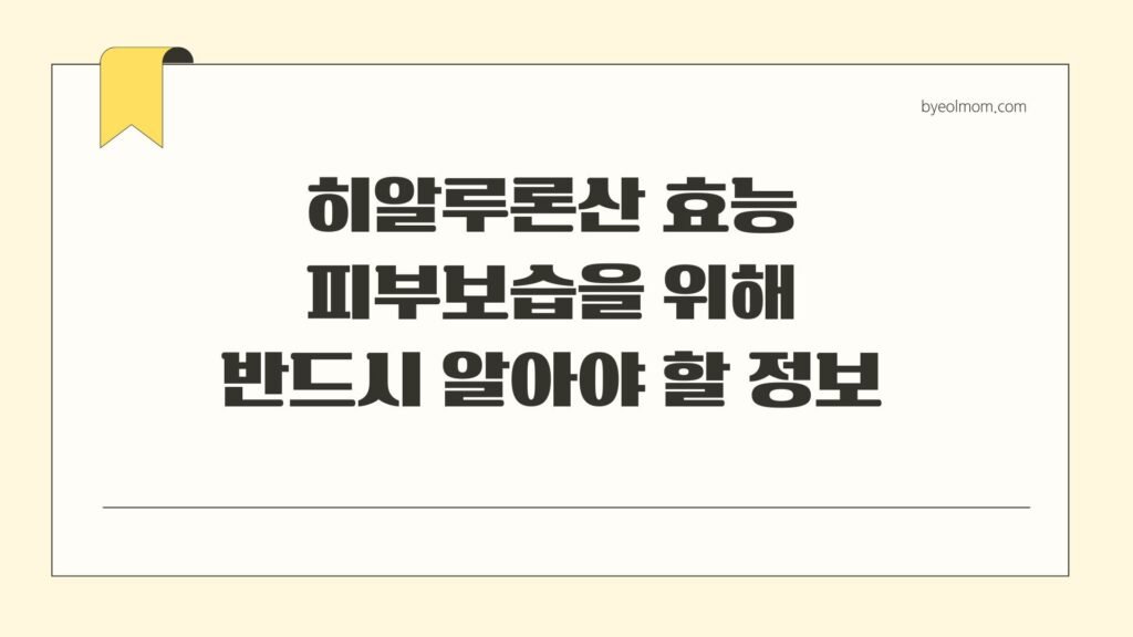 히알루론산 효능 피부보습을 위해 반드시 알아야 할 정보