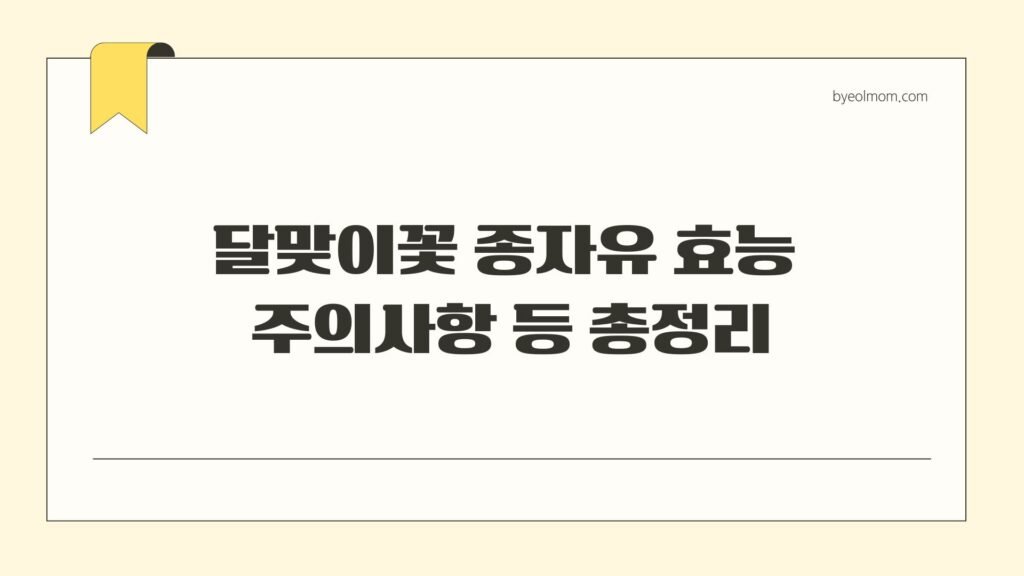 달맞이꽃 종자유 효능 주의사항 등 총정리