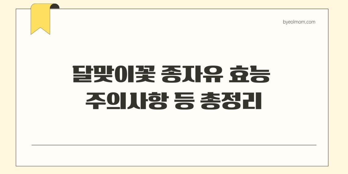 달맞이꽃 종자유 효능 주의사항 등 총정리
