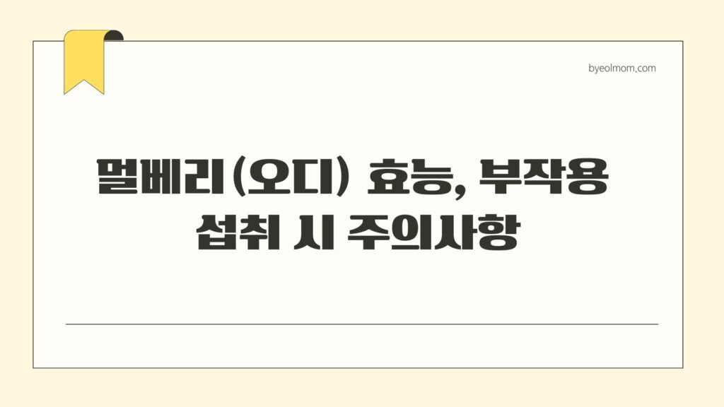 멀베리(오디) 효능 부작용 섭취 시 주의사항