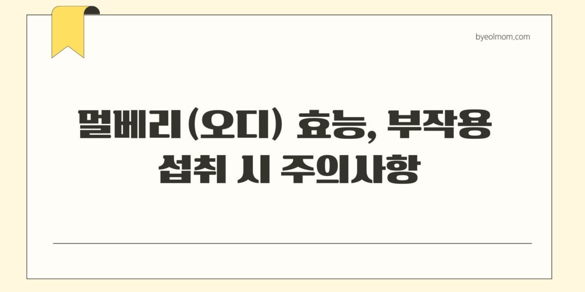 멀베리(오디) 효능 부작용 섭취 시 주의사항