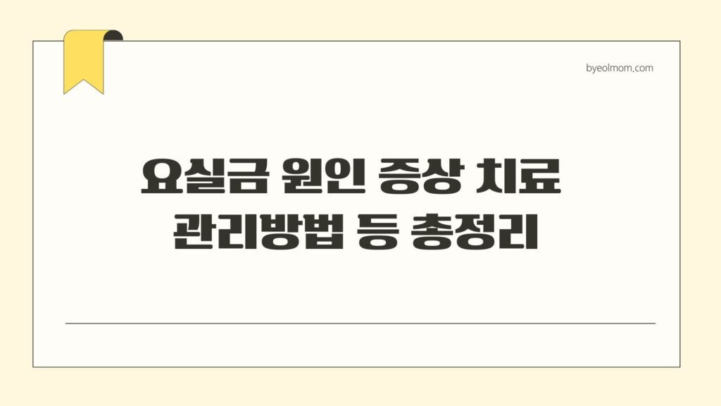 요실금 원인 증상 치료 관리방법 등 총정리