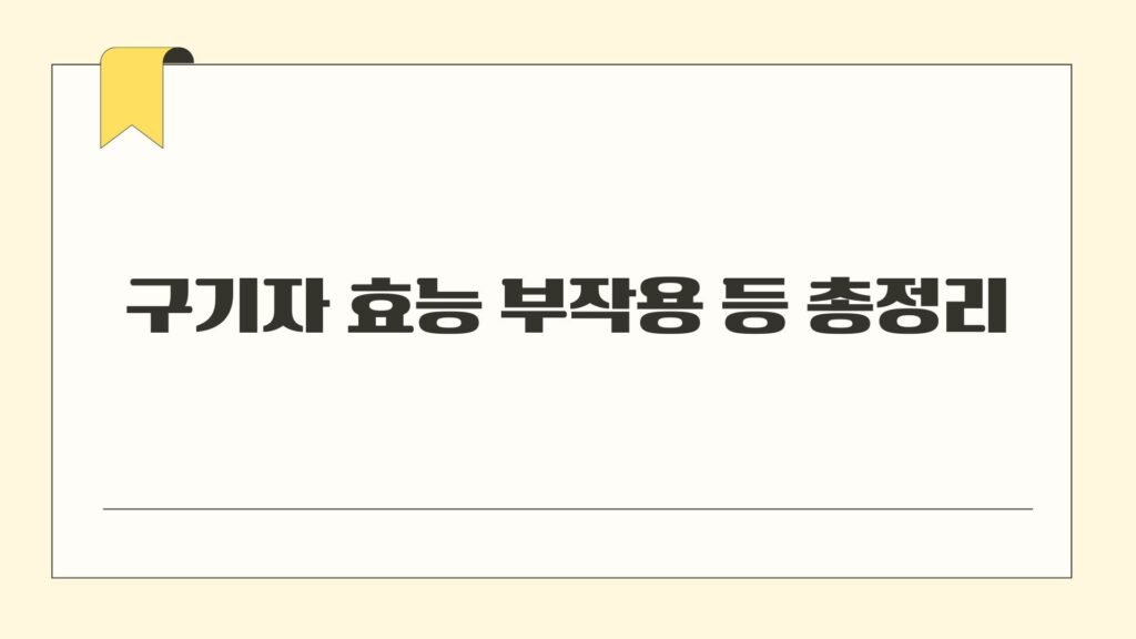 구기자 효능 부작용 등 총정리