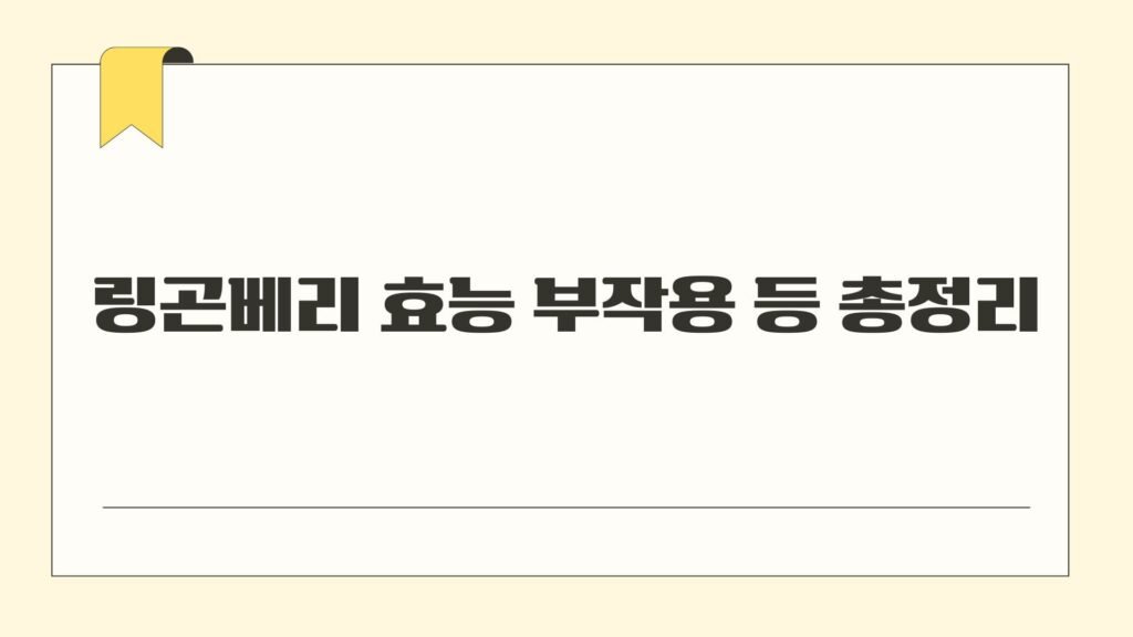 링곤베리 효능 부작용 등 총정리