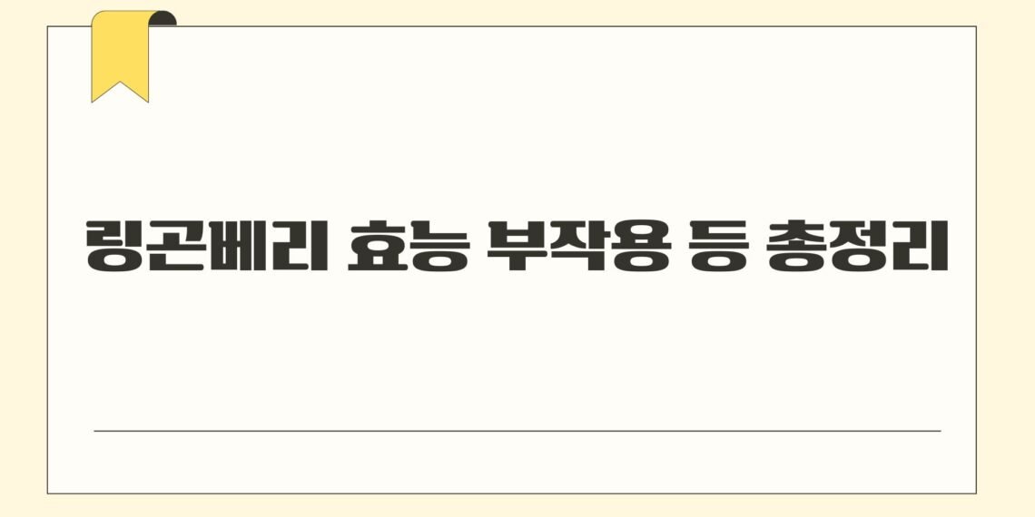 링곤베리 효능 부작용 등 총정리