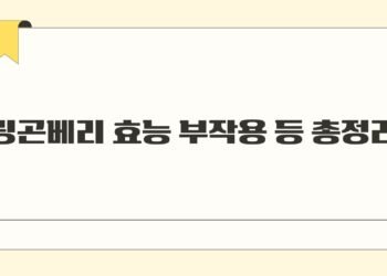 링곤베리 효능 부작용 등 총정리