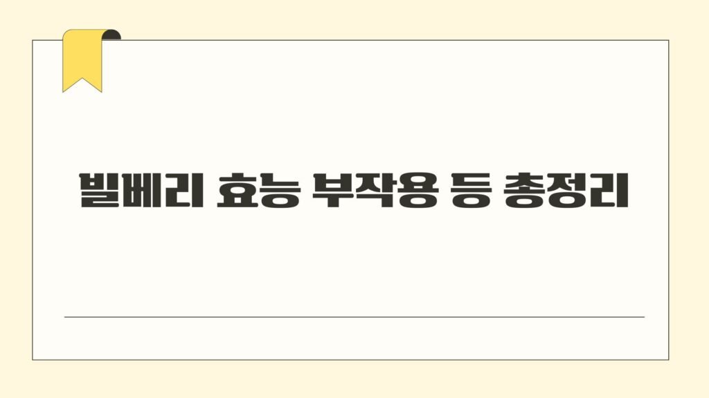 빌베리 효능 부작용 등 총정리