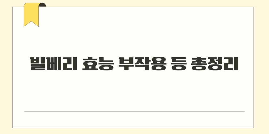빌베리 효능 부작용 등 총정리