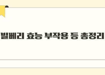 빌베리 효능 부작용 등 총정리