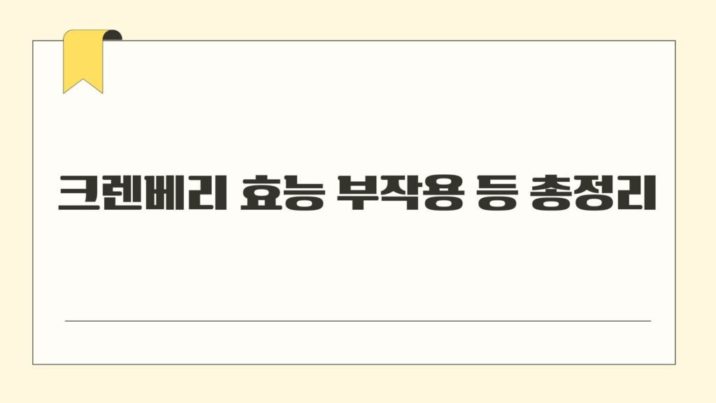 크렌베리 효능 부작용 등 총정리