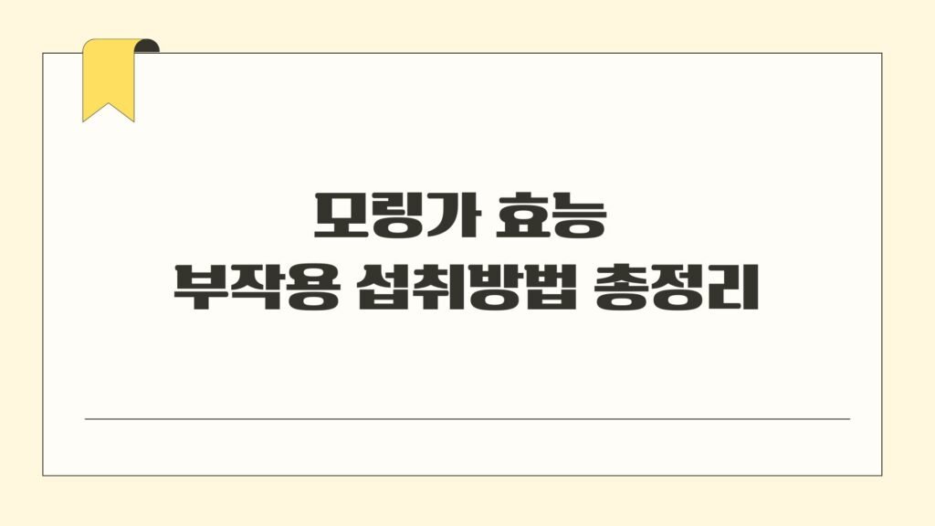 모링가 효능 부작용 섭취방법 총정리