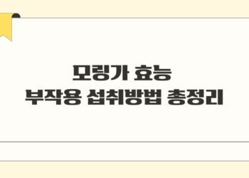 모링가 효능 부작용 섭취방법 총정리