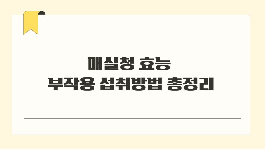 매실청 효능