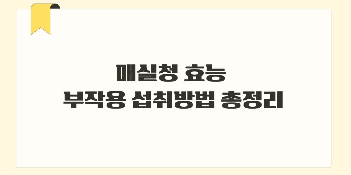매실청 효능