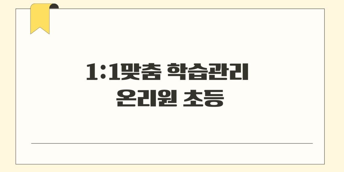 1:1맞춤 학습관리 온리원 초등