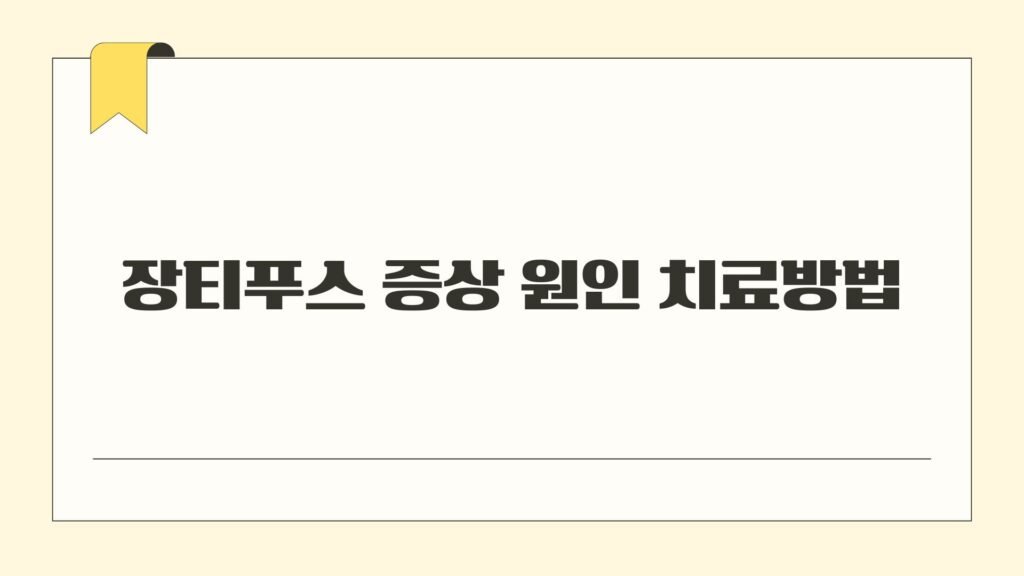 장티푸스 증상 원인 치료방법