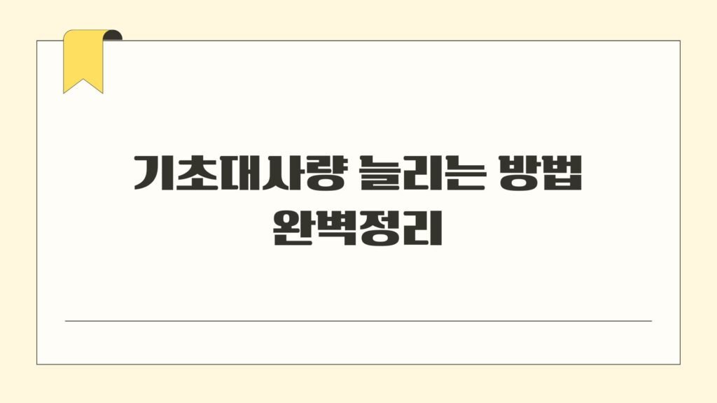 기초대사량 늘리는 방법 완벽정리