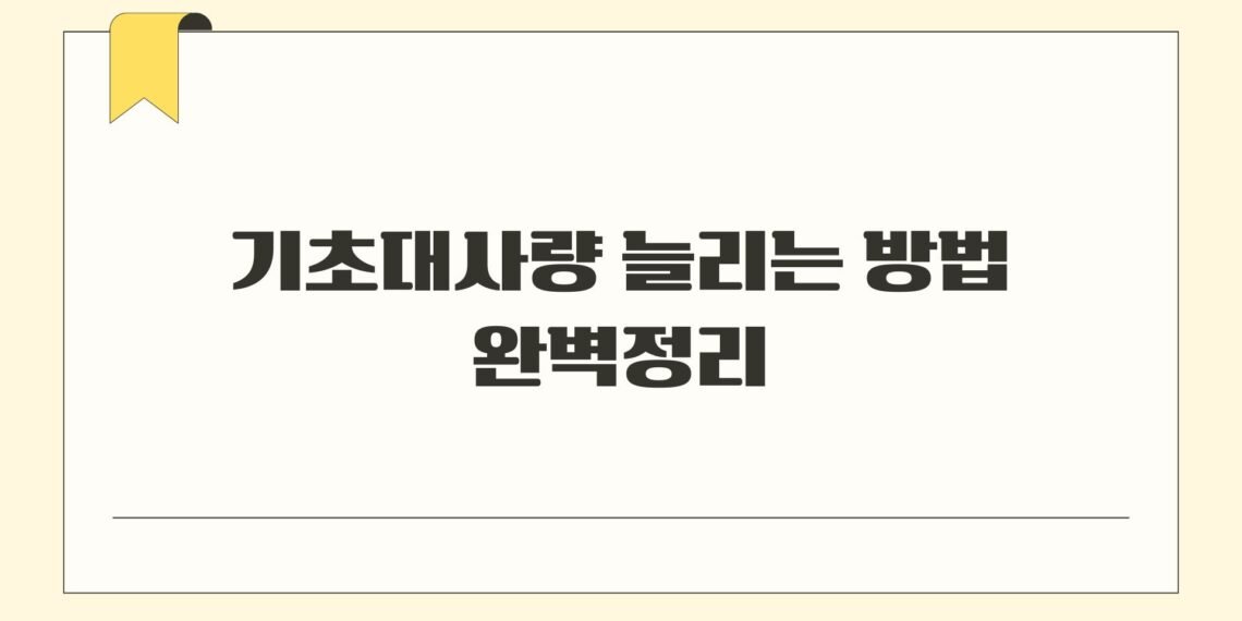 기초대사량 늘리는 방법 완벽정리