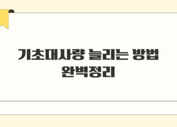 기초대사량 늘리는 방법 완벽정리