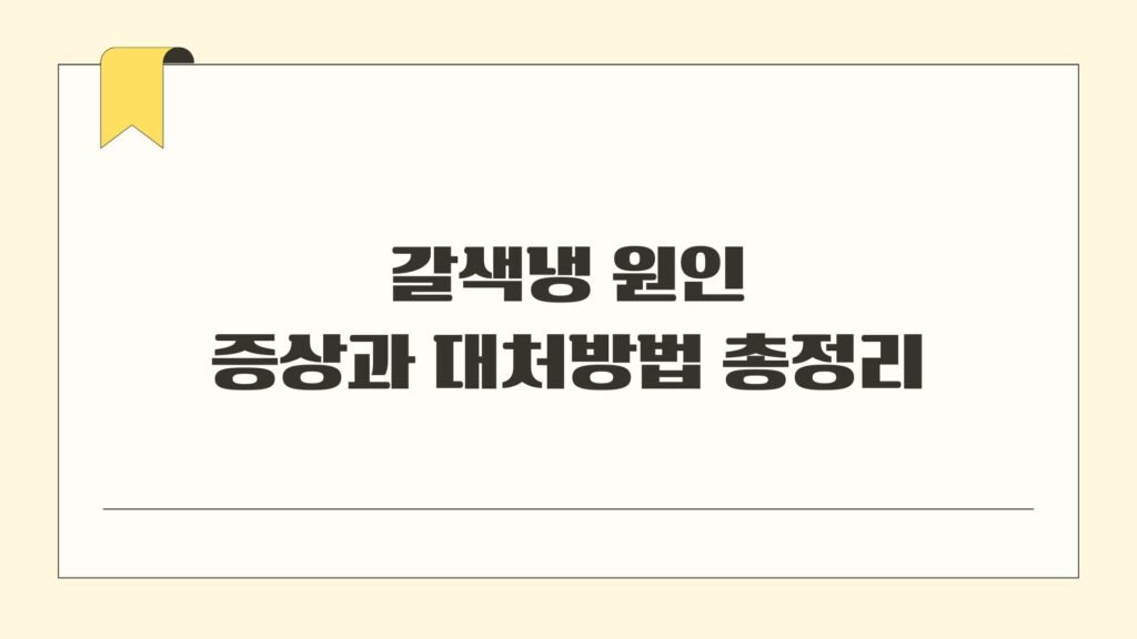 갈색냉 원인 증상과 대처방법 총정리