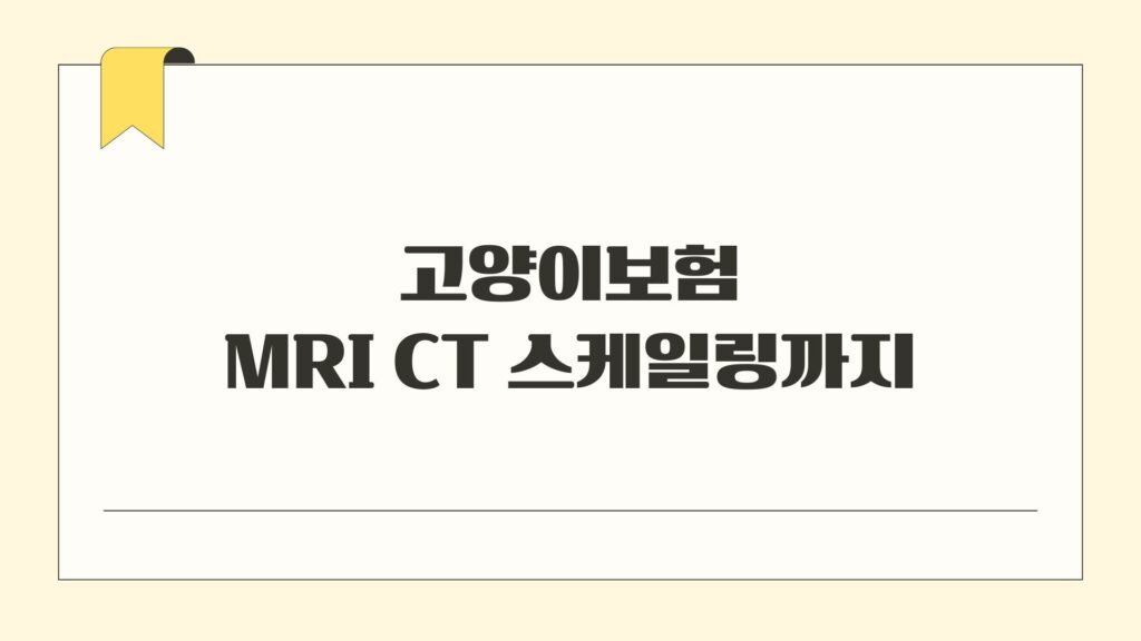 고양이보험 MRI CT 스케일링까지
