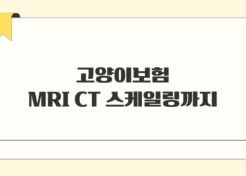 고양이보험 MRI CT 스케일링까지