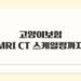 고양이보험 MRI CT 스케일링까지