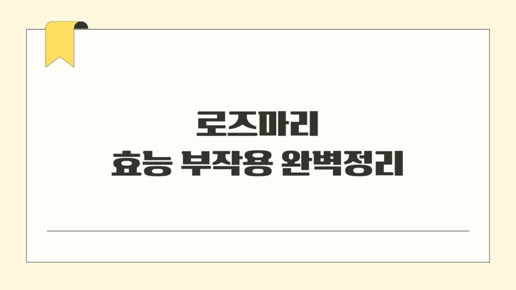로즈마리 효능 부작용 완벽정리