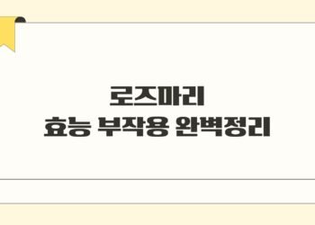 로즈마리 효능 부작용 완벽정리