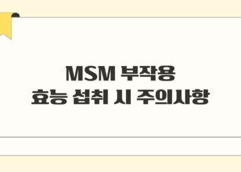 MSM 부작용 효능 섭취 시 주의사항