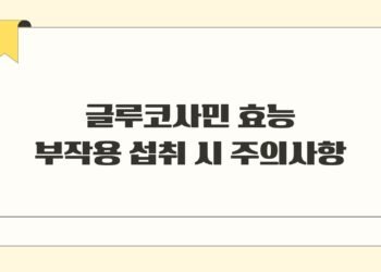 글루코사민 효능 부작용 섭취 시 주의사항