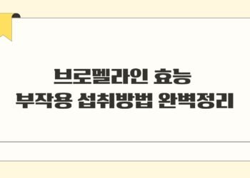 브로멜라인 효능 부작용 섭취방법 완벽정리