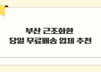 부산 근조화환 당일 무료배송 업체 추천